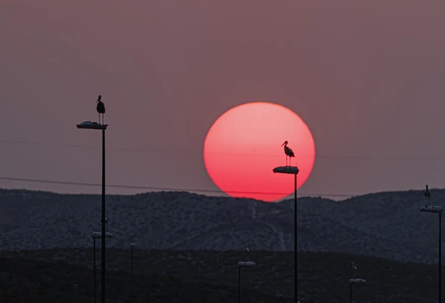 Comienza la cuarta ola de calor