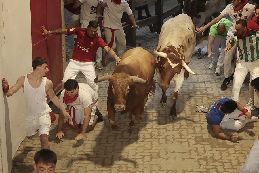 Sexto encierro de Sanfermines con toros de La Palmosilla (Cádiz) 