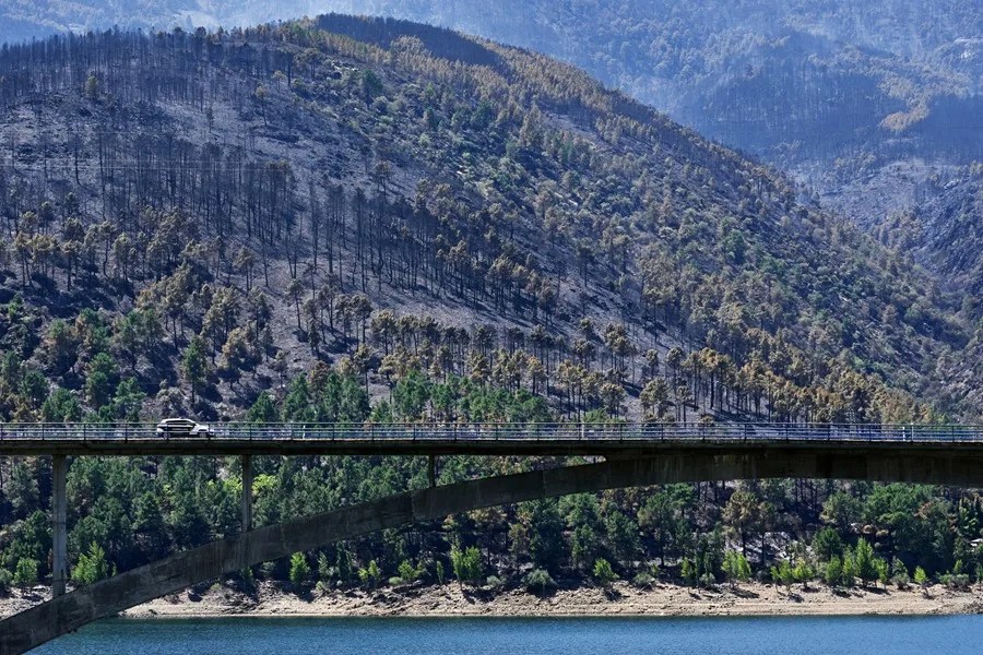 Paisaje quemado en el Parque Natural del Valle de Iruelas arrasado por el incendio de Burgohondo (Ávila).