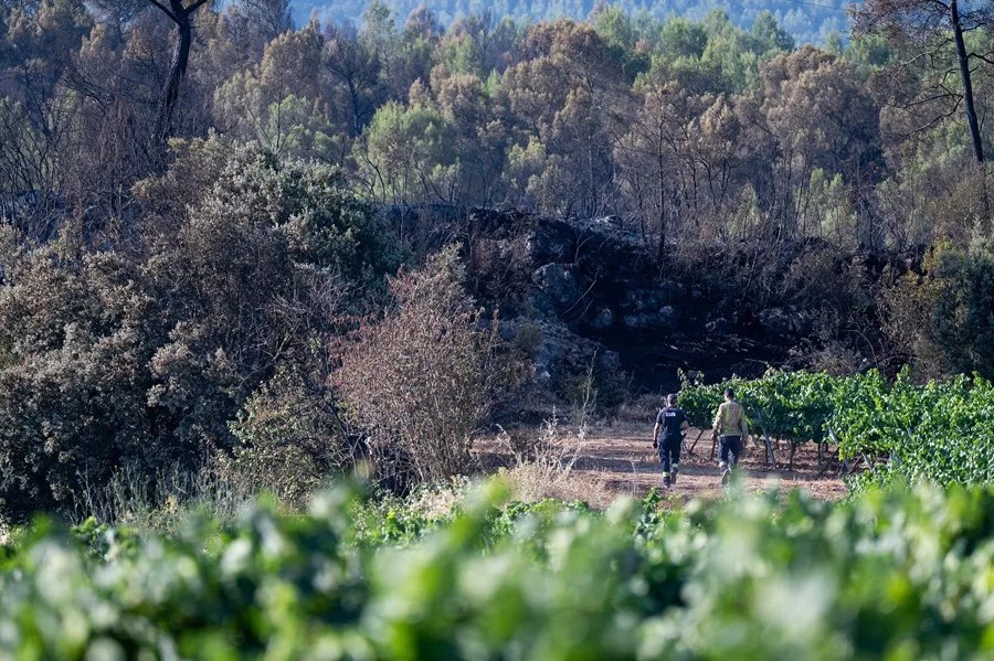 Imagen de la zona de Aiguamúrcia (Tarragona).