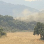 Imagen de un incendio la semana pasada en Aragón.