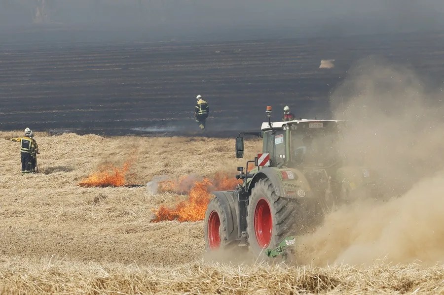 Un incendio declarado en una zona de cereal.