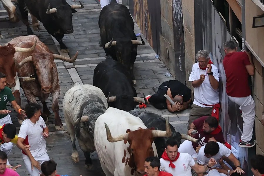 Los mozos son perseguidos por toros de la ganadería gaditana de Cebada Gago