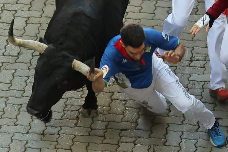 Un mozo cae al paso de uno los toros de la ganadería gaditana de Fuente Ymbro