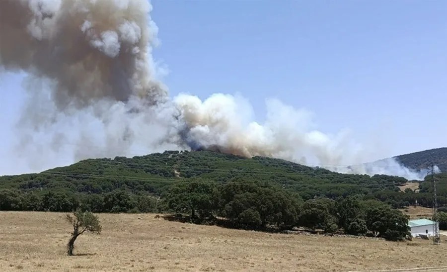 Cinco medios aéreos trabajan para extinguir un incendio forestal en Grazalema (Cádiz),