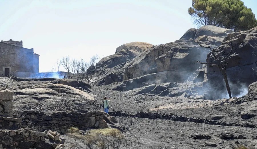 Incendio forestal en Fermoselle (Zamora), este jueves.