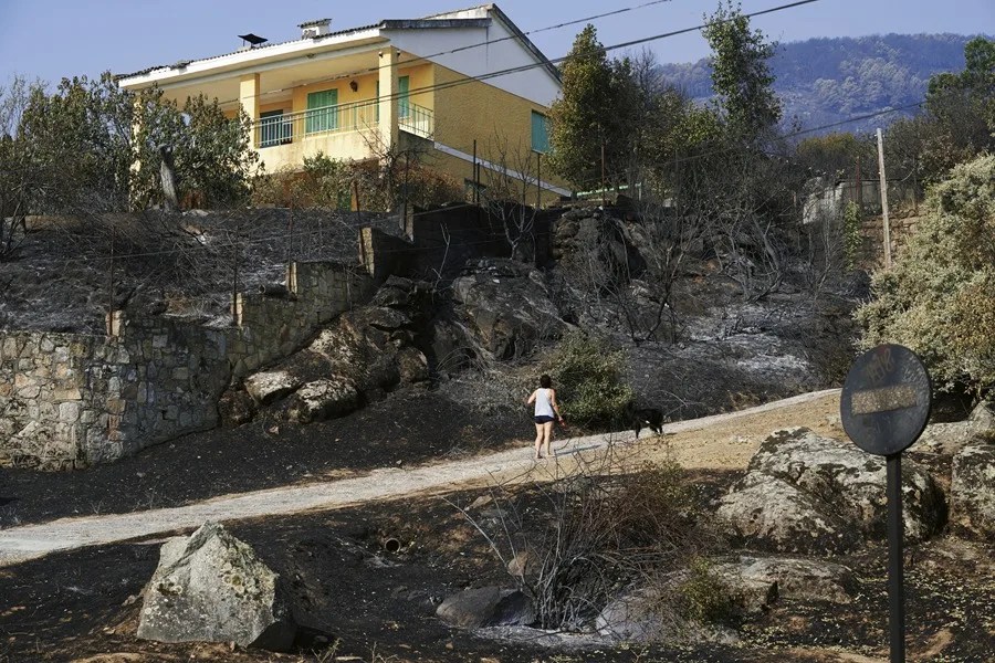Zona afectada por el incendio de Burgohondo en la localidad de El Tiemblo (Ávila).
