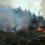Incendio de Veguellina, en el municipio de Villafranca del Bierzo (León) que afecta a las localidades de San Pedro de Olleros, Moreda y San Martín de Moreda