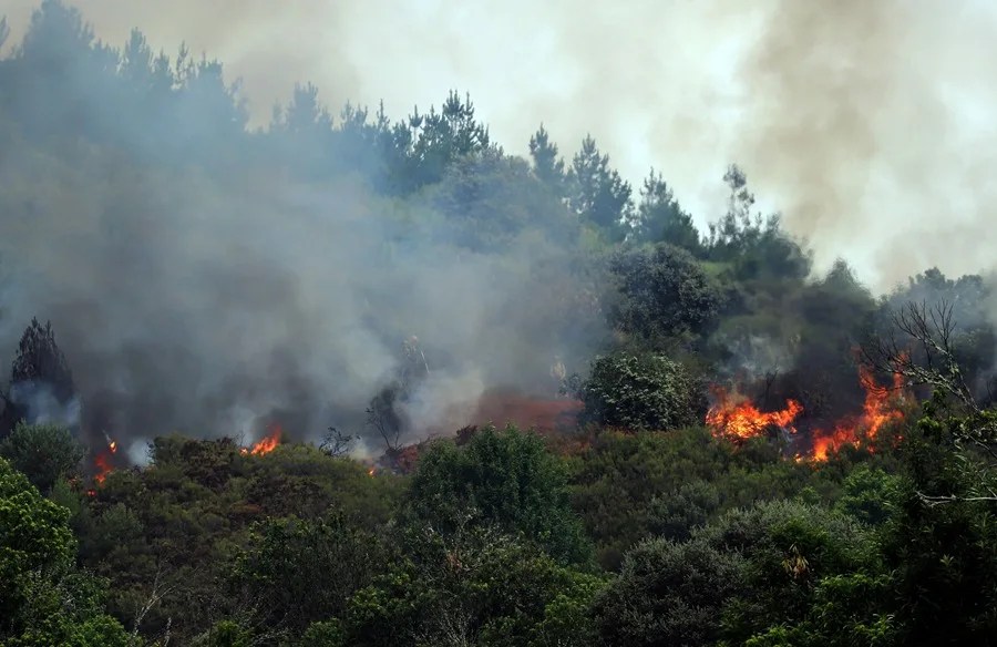 Incendio de Veguellina, en el municipio de Villafranca del Bierzo (León) que afecta a las localidades de San Pedro de Olleros, Moreda y San Martín de Moreda