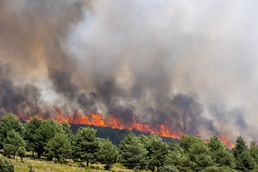 El incendio de La Mierla, en Guadalajara