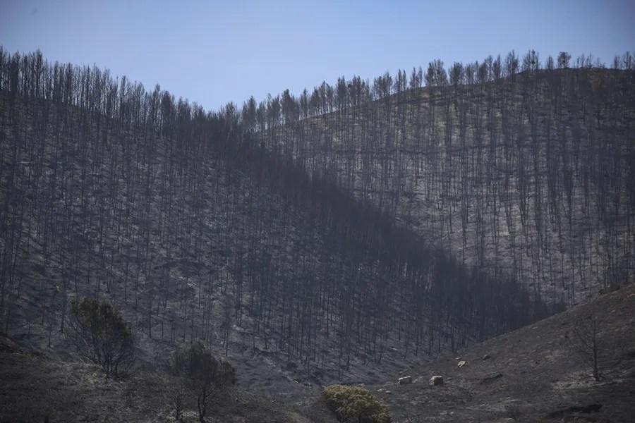 Monte arrasado en Robres por en el incendio declarado en Leciñena (Zaragoza).