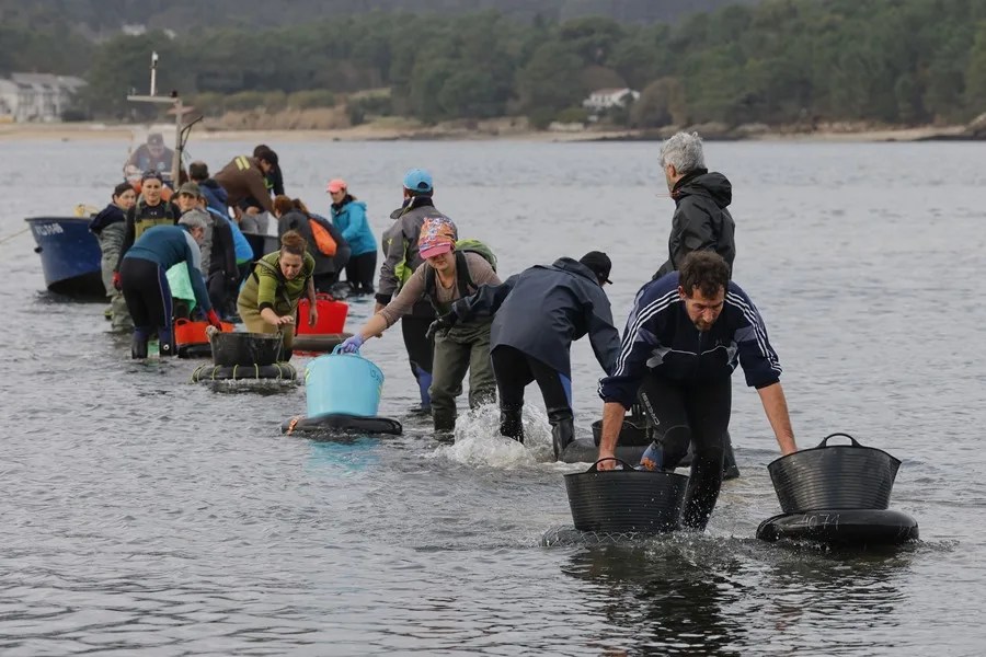 Mariscadores
