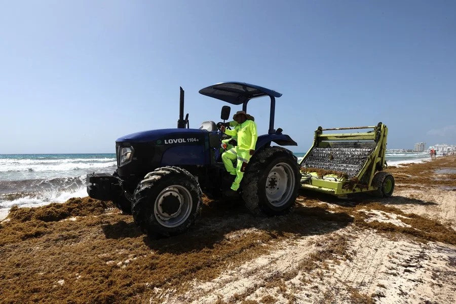 Sargazo, falta de vuelos y crisis global tienen al Caribe mexicano con ocupación del 60 %