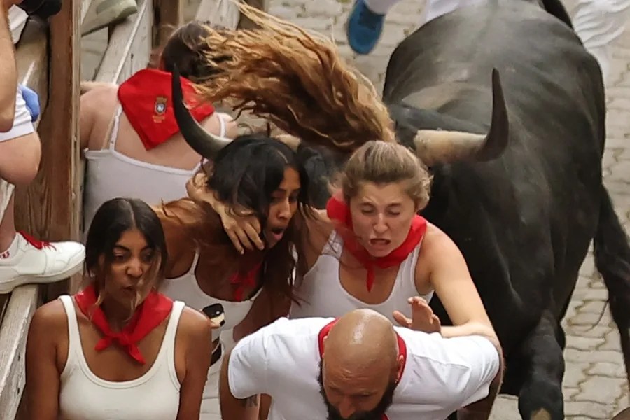 Los mozos corren delante de uno de los toros de la ganadería sevillana de Miura