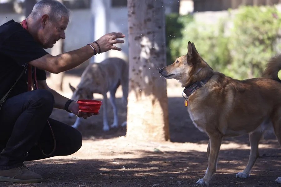 Un hombre refresca a su perro con agua