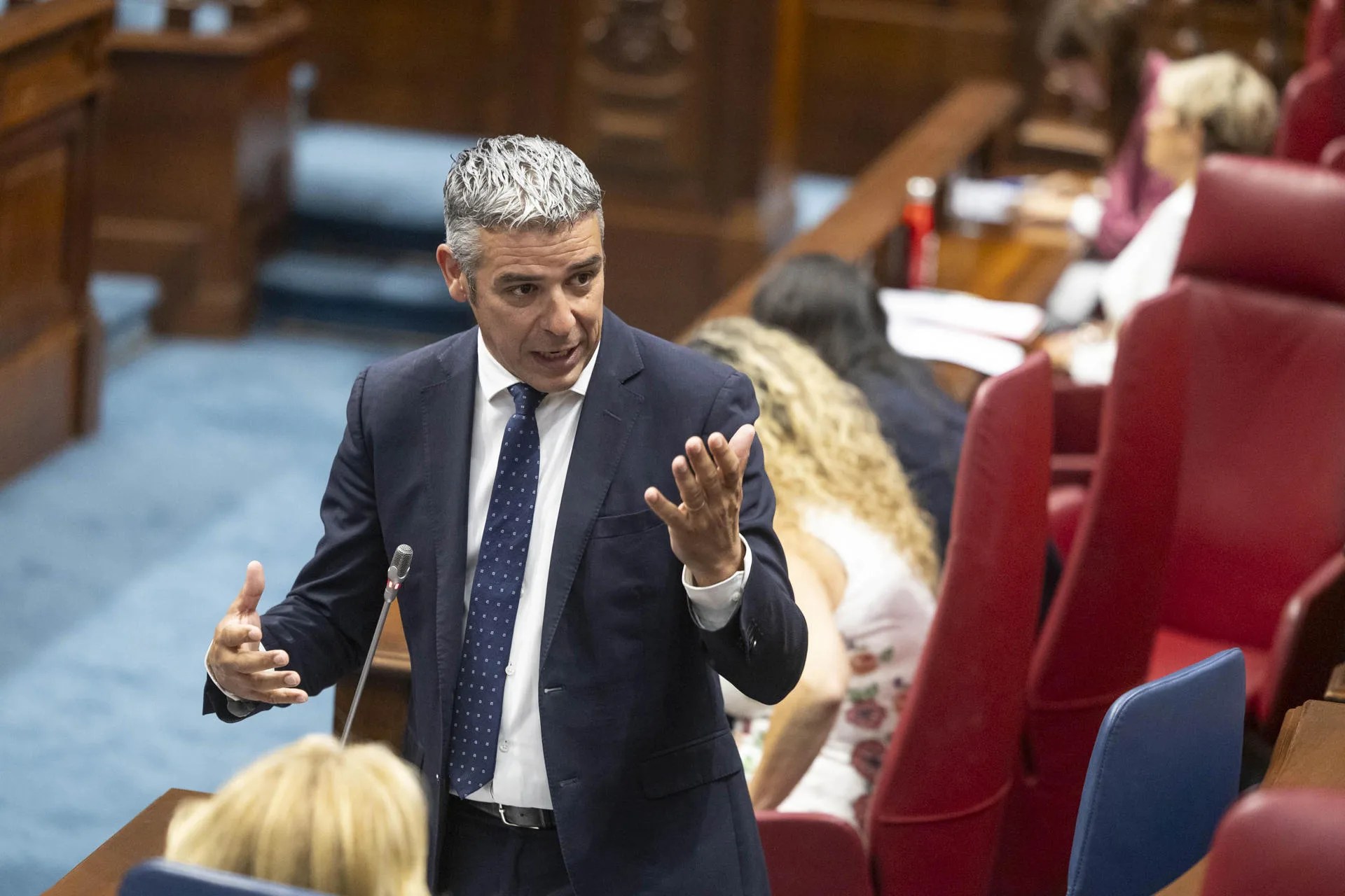 El consejero de Agricultura del Gobierno de Canarias, Narvay Quintero, durante su intervención este martes en el pleno del Parlamento de Canarias. EFE/ Miguel Barreto