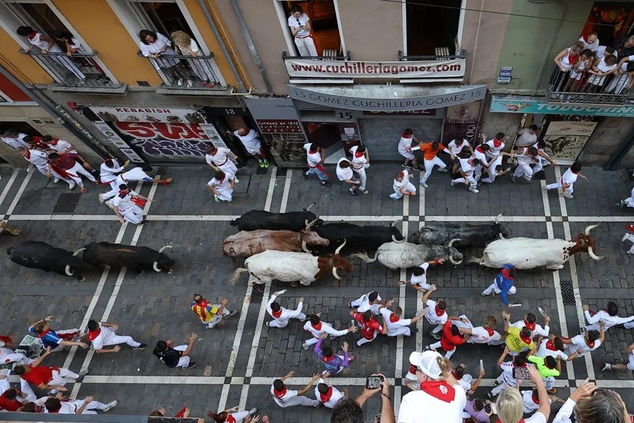 Los mozos, al paso de los toros de la ganadería Cebada Gago en el tramo de en el tramo inicial de la Calle Estafetav