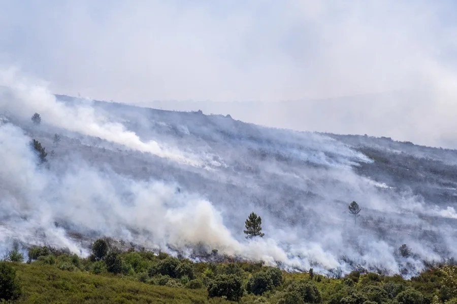 Fuego y humo se desprenden del incendio forestal originado en La Mierla