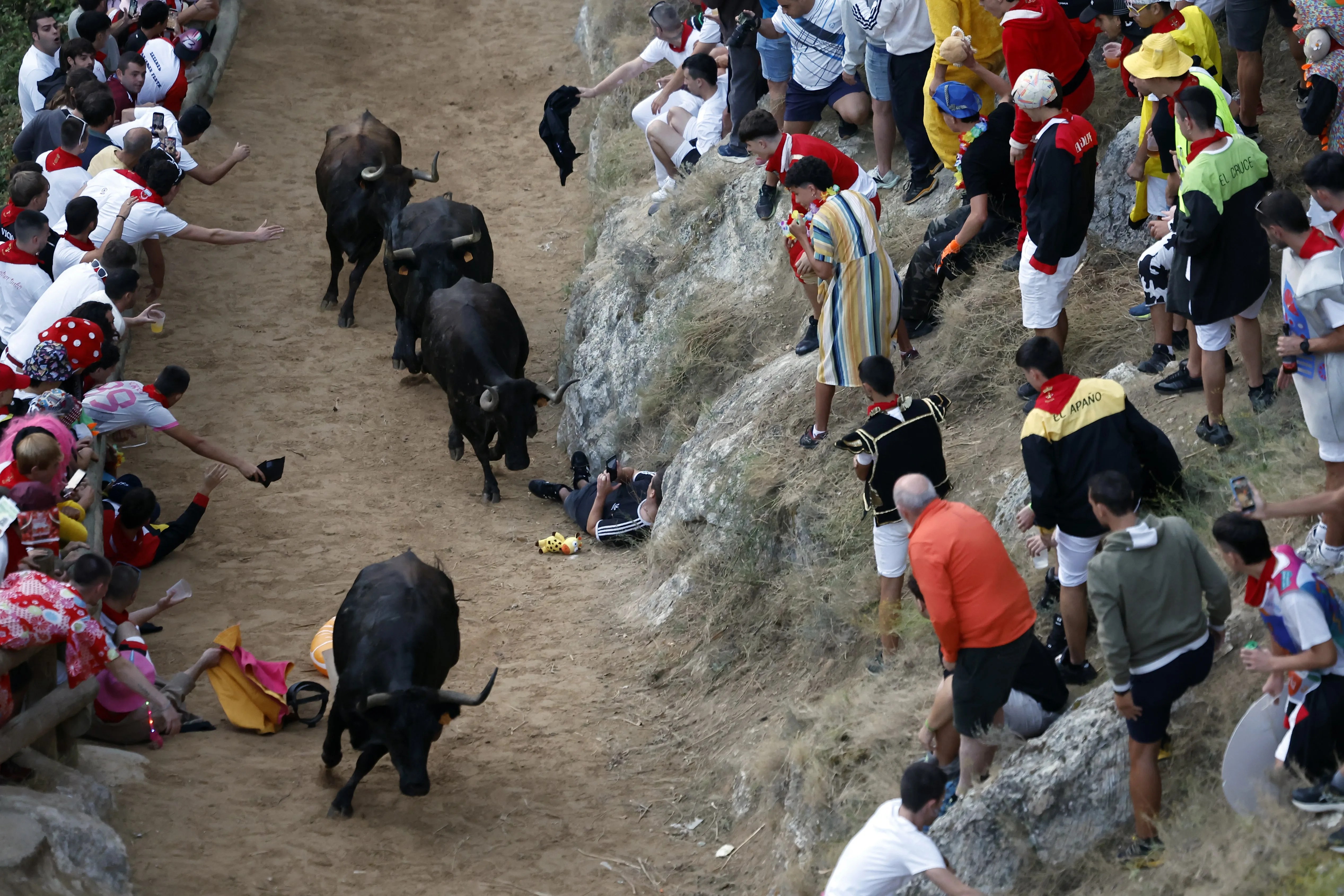 Imagen del último encierro del Pilón de Falces de 2026