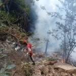 Fallecen el director de Inteligencia de Ecuador y su esposa en un accidente aéreo en Kenia