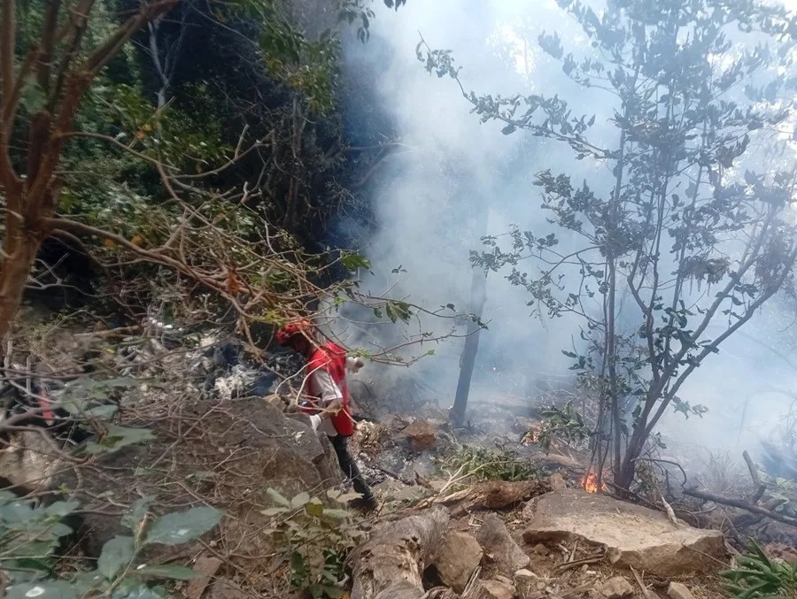 Fallecen el director de Inteligencia de Ecuador y su esposa en un accidente aéreo en Kenia