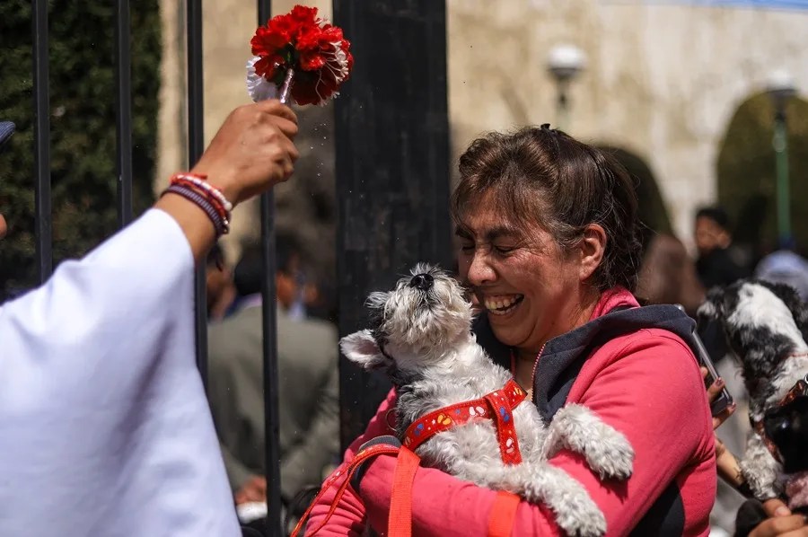 Bolivia celebra el Día de San Roque con ceremonias de bendición y homenajes a las mascotas