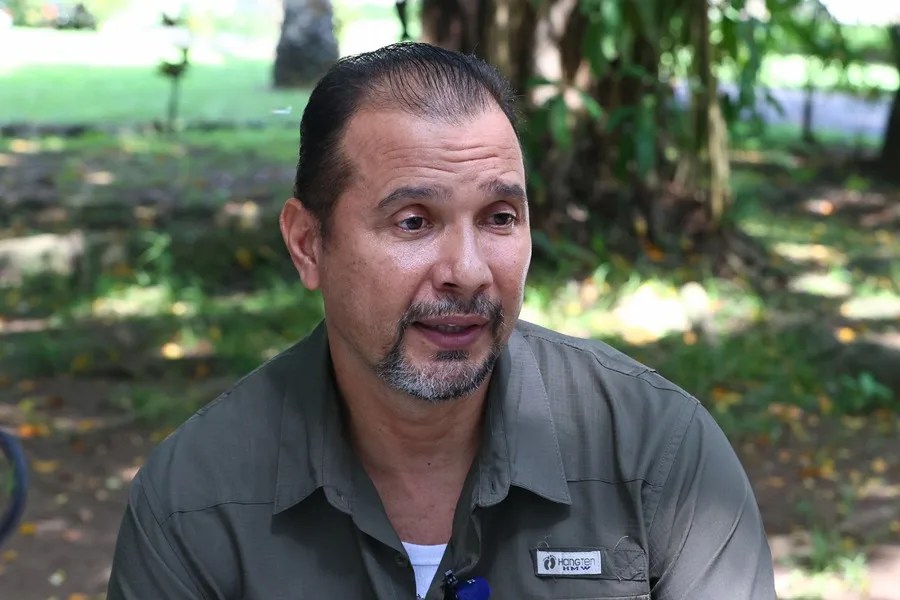 Entre calles y quebradas, los cocodrilos desafían el avance de la ciudad en Panamá