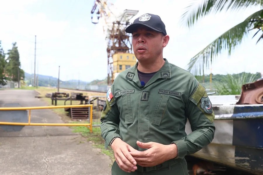Entre calles y quebradas, los cocodrilos desafían el avance de la ciudad en Panamá