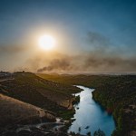 fuego Niebla