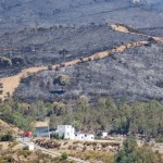 incendio Niebla