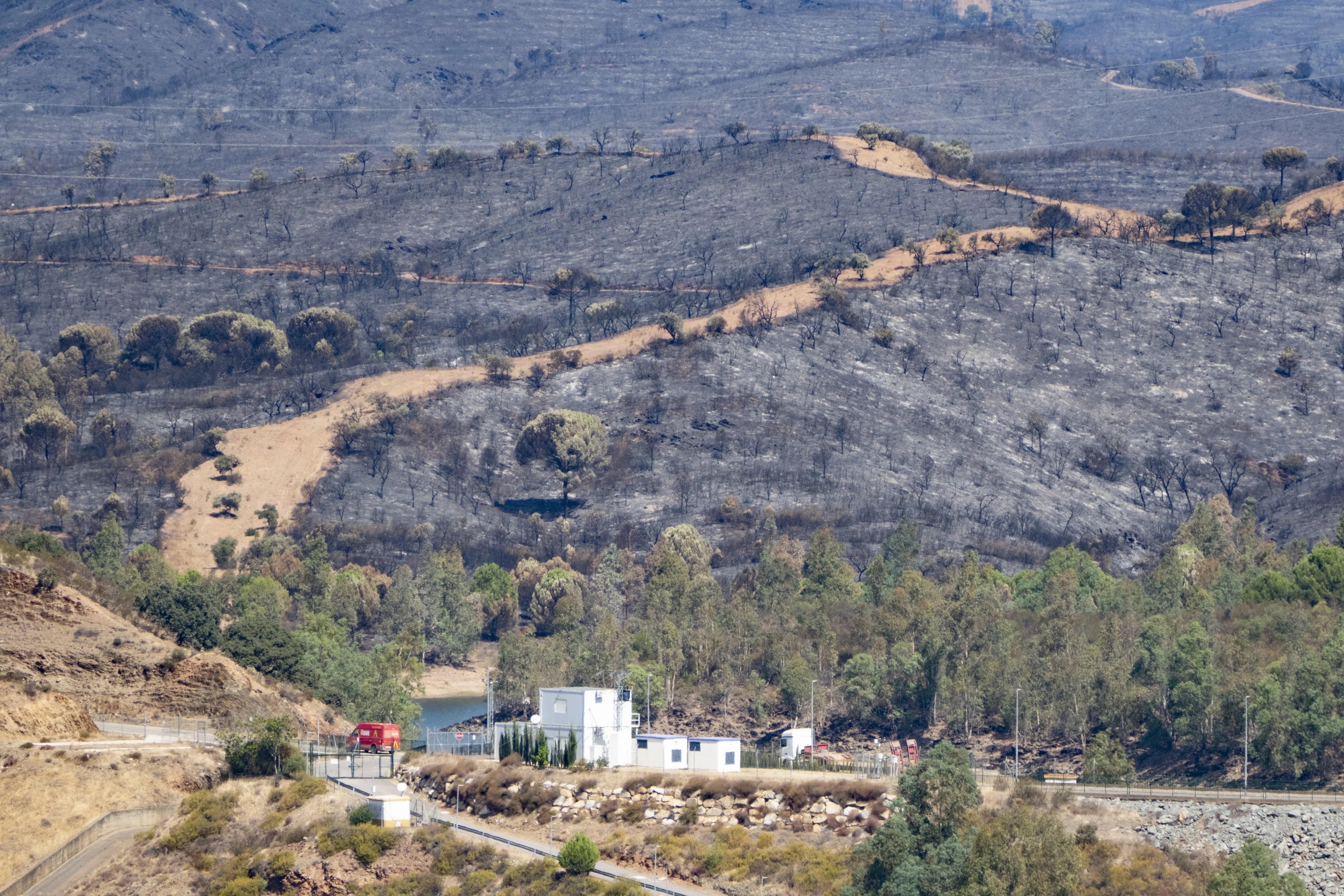 incendio Niebla