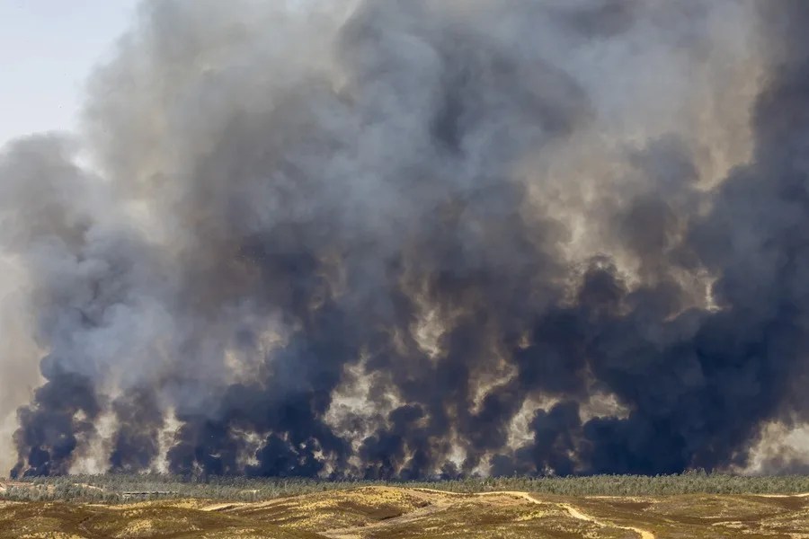 Vista del incendio forestal en Niebla (Huelva).