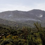Labores para tratar de consolidar el perímetro de un incendio forestal declarado el sábado en el término municipal de Navas de San Antonio (Segovia).