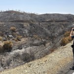 incendio Niebla