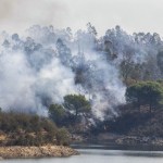 incendio Niebla