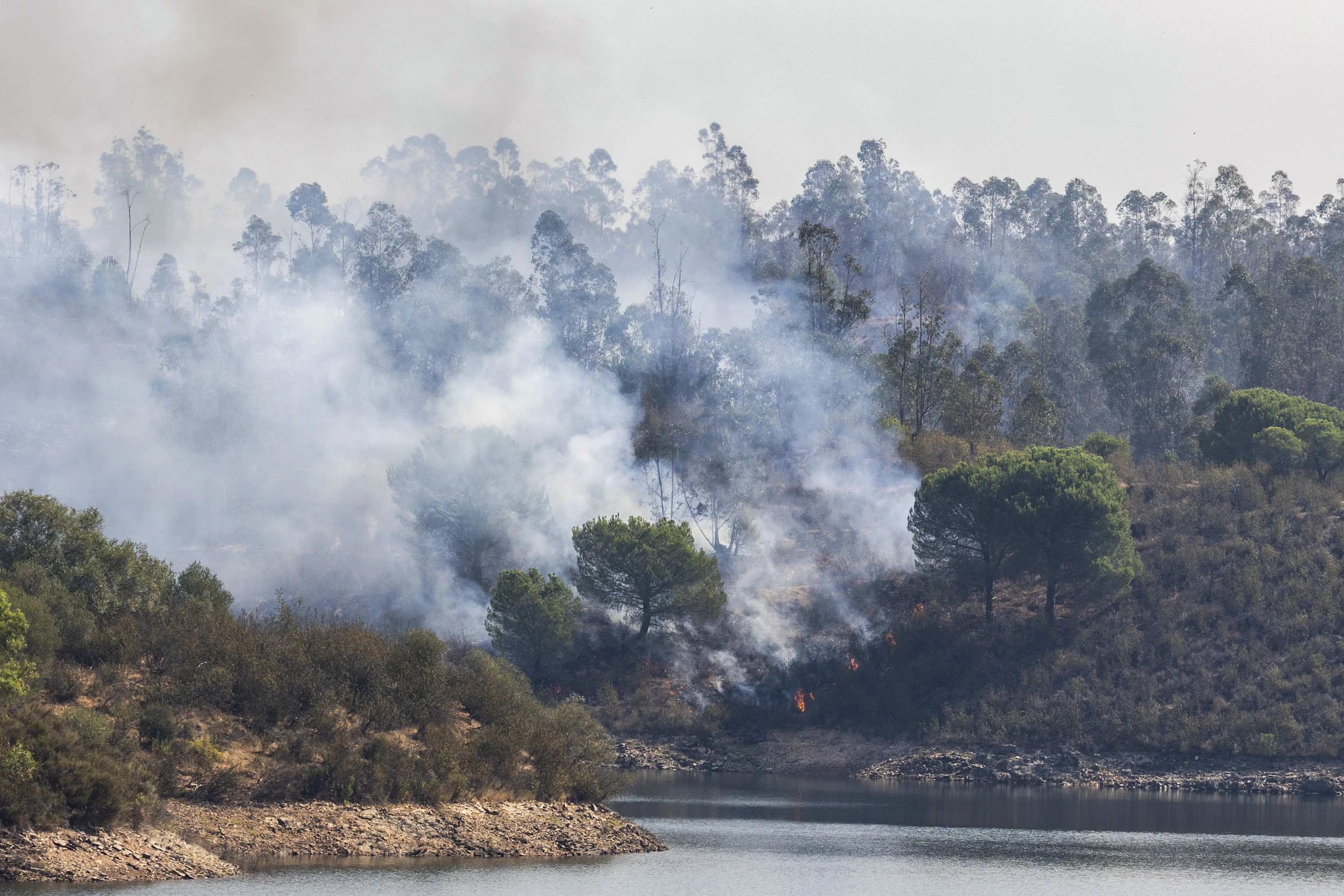 incendio Niebla