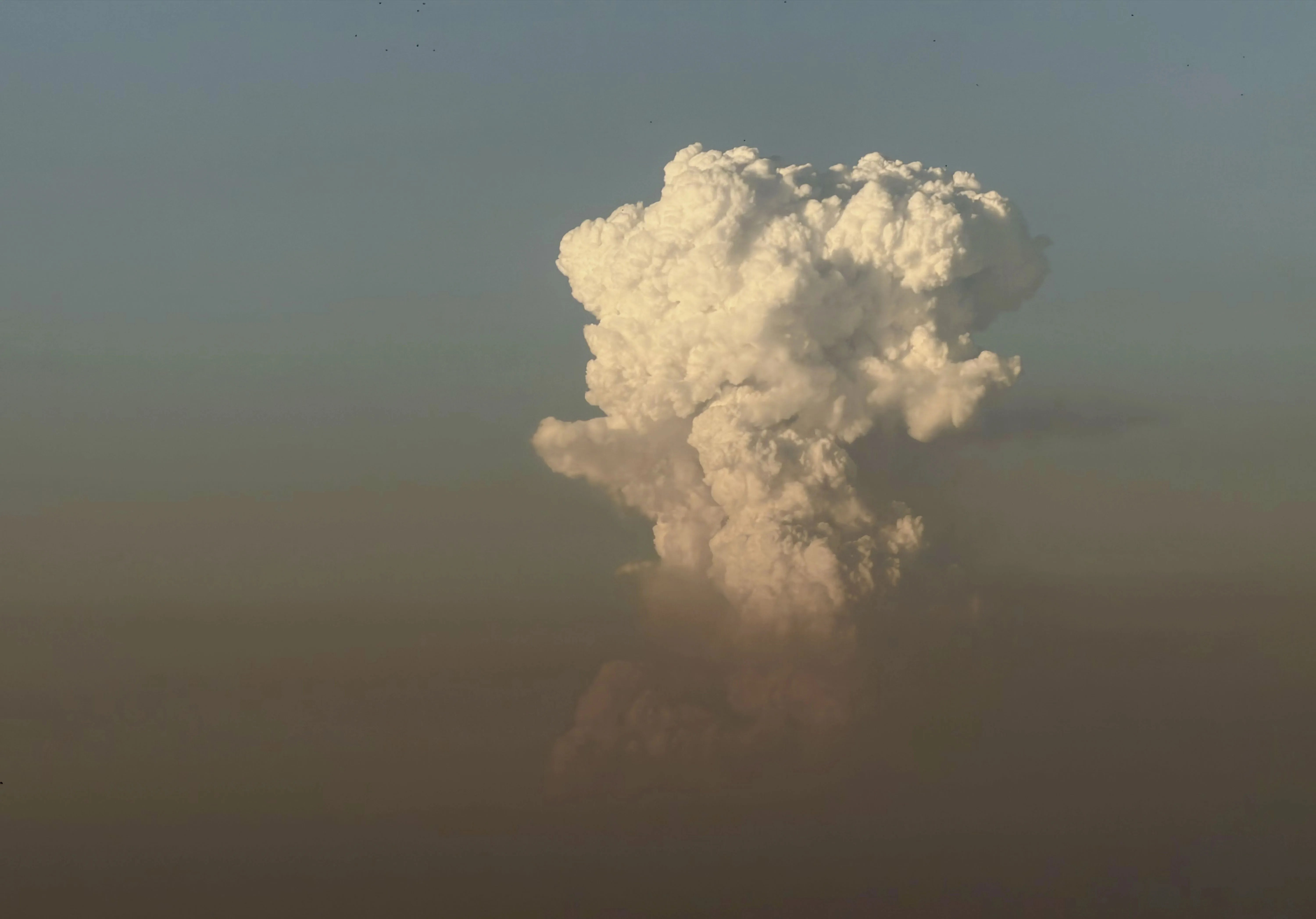 incendio Niebla