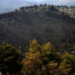 Incendio forestal cerca de Atenas