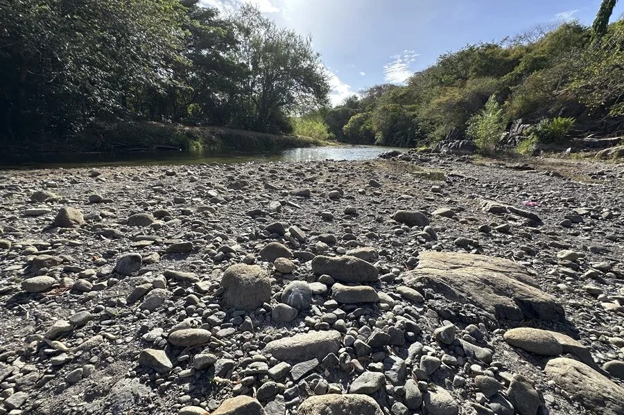 En el sur de Honduras claman por lluvias en septiembre para salvar la última cosecha del año