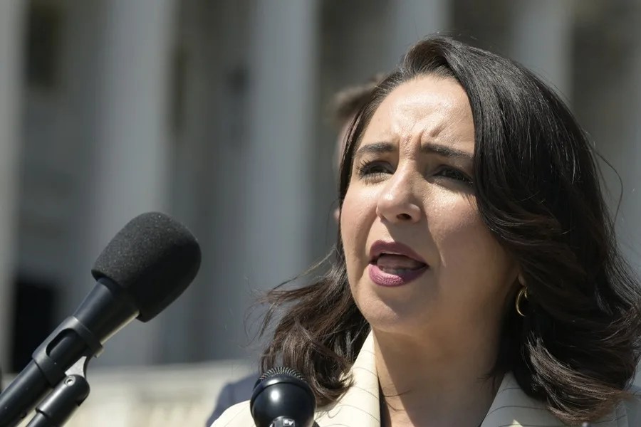 Congresistas y activistas de Estados Unidos rechazan la compra de guantes eléctricos para el ICE