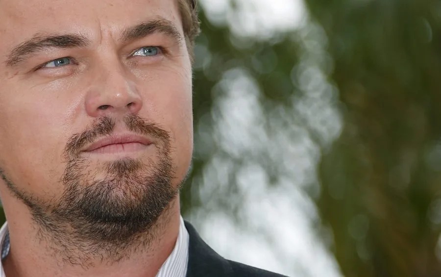 Suspenden el trámite de un proyecto en Chile tras la alerta de Leonardo DiCaprio para proteger a la rana Pehuenche