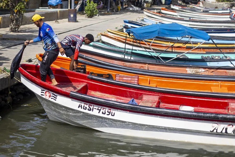 Pescadores y comerciantes, en la lucha por su sustento diario tras los terremotos en Venezuela