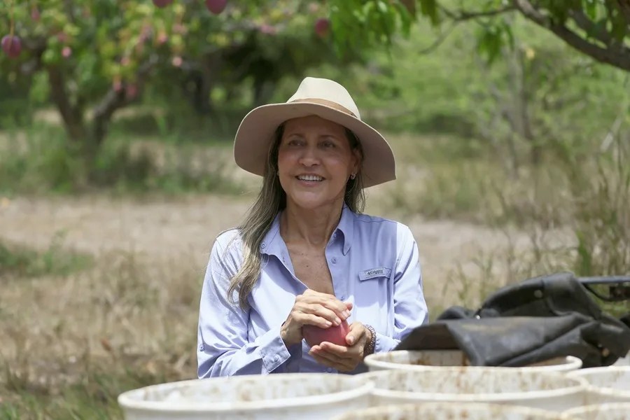 Los agricultores y ganaderos de Puerto Rico hacen malabares con el agua ante la sequía