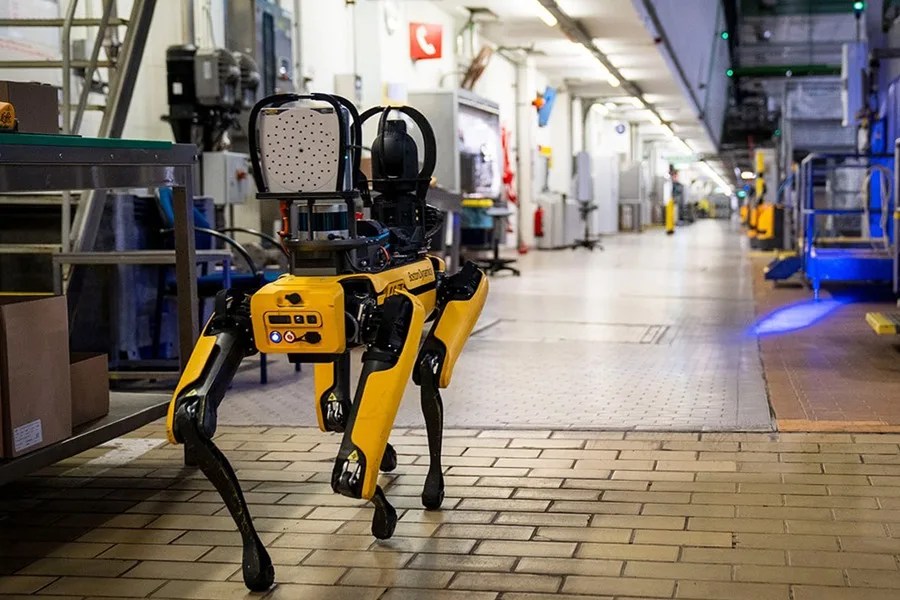 Estados Unidos planea invertir dos millones de dólares en perros robots para operativos de ICE