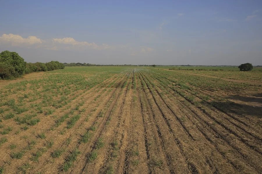 Emiten la alerta roja en El Salvador para enfrentar la sequía provocada por el fenómeno de El Niño