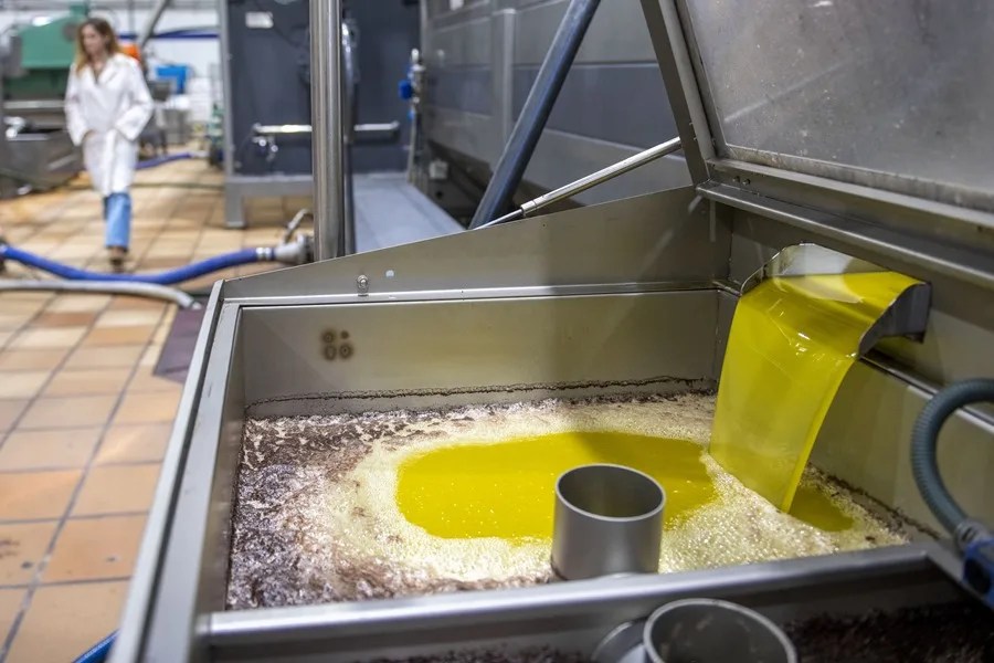 COMPRA ACEITE OLIVA