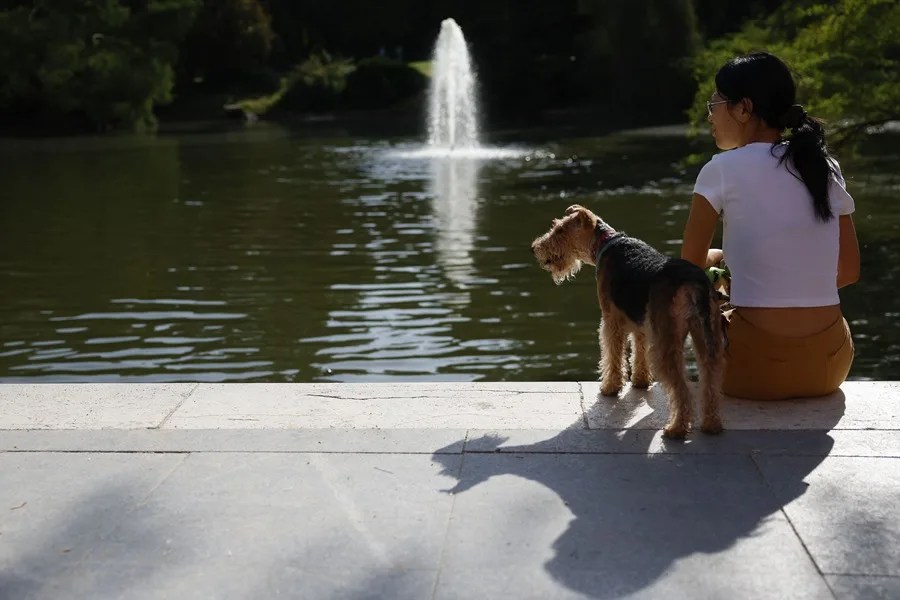 Vista del parque de El Retiro en Madrid