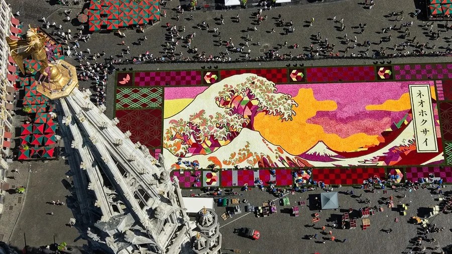 Dalias dispuestas para formar la 24.ª edición de la Alfombra de Flores de Bruselas en la Grand Place de Bruselas, Bélgica.