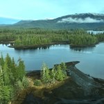 Estados Unidos toma medidas para permitir la tala de árboles en bosques nacionales