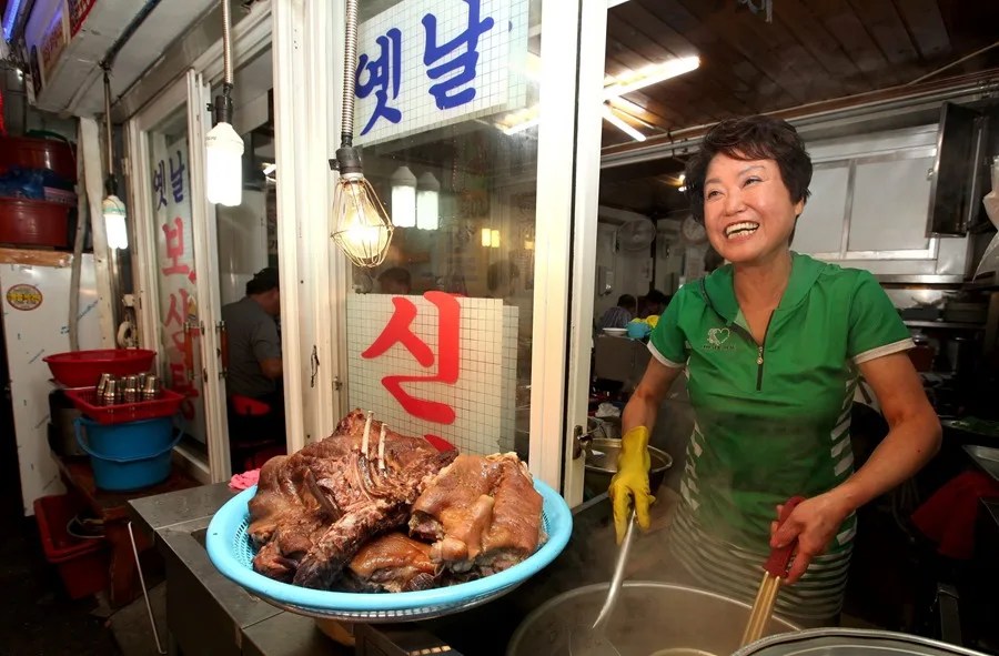 COREA SUR SOPA CARNE PERRO